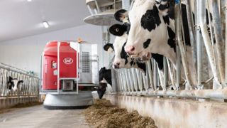 Lely améliore la route du robot d’alimentation Lely améliore la route du robot d’alimentation