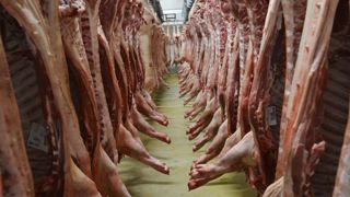 Le prix du porc franchit la barre des 2 euros par kilo Le prix du porc franchit la barre des 2 euros par kilo