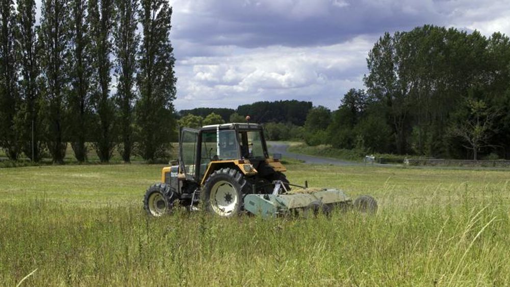 La remise en production des jachères n’aura qu’un effet à la marge