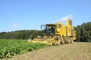 Chantier d'arrachage de betteraves avec une intégrale