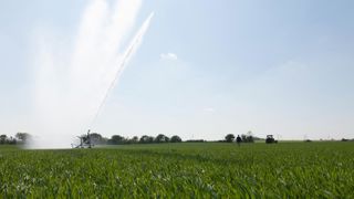 Les cultures souffrent du manque d’eau Les cultures souffrent du manque d’eau