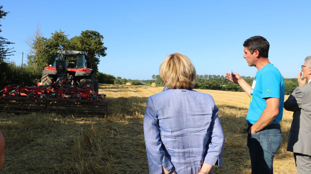 Limiter les fuites de nitrates par un semis précoce de couvert