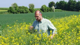 Du biofioul de colza pour le chauffage Du biofioul de colza pour le chauffage