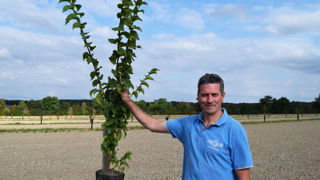 Plan de soutien à l’agroforesterie Plan de soutien à l’agroforesterie