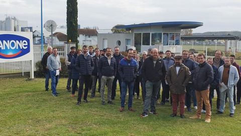 Danone va abandonner près de 200 éleveurs laitiers