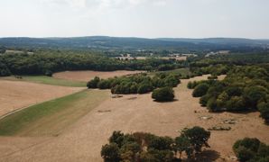 Les derniers arbitrages concernant la franchise et les seuils de déclenchement de la solidarité nationale par production ne sont toujours pas fixés. Les derniers arbitrages concernant la franchise et les seuils de déclenchement de la solidarité nationale par production ne sont toujours pas fixés.