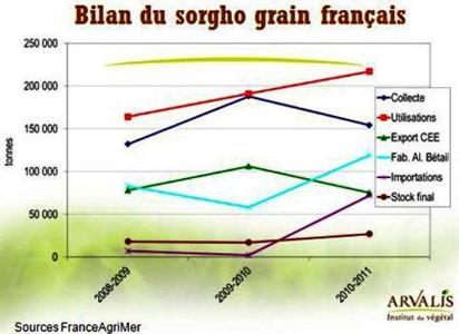sogho grain utilisation marché