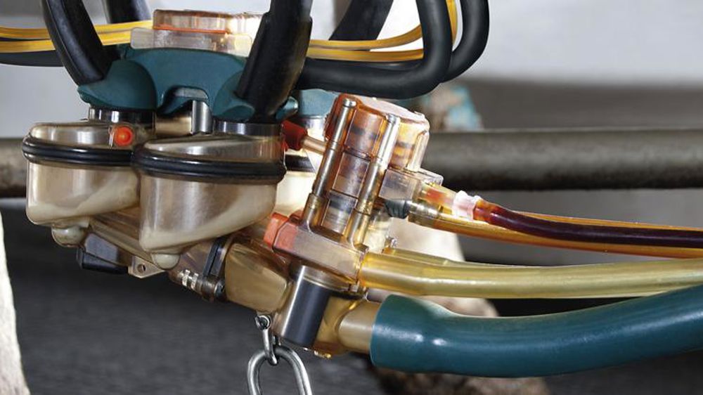 Le trempage automatisé des trayons