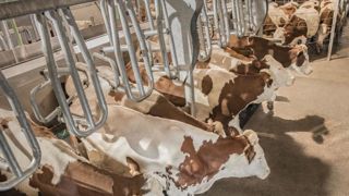Une stalle à sortie rapide Une stalle à sortie rapide