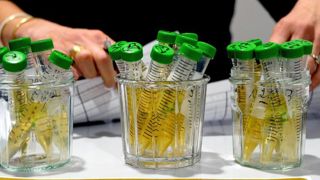 Moins de 1 μg/L de glyphosate dans les urines de 48 céréaliers Moins de 1 μg/L de glyphosate dans les urines de 48 céréaliers