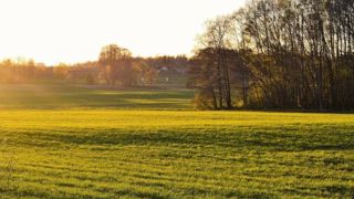 Chaud et ensoleillé au nord, sec au sud Chaud et ensoleillé au nord, sec au sud