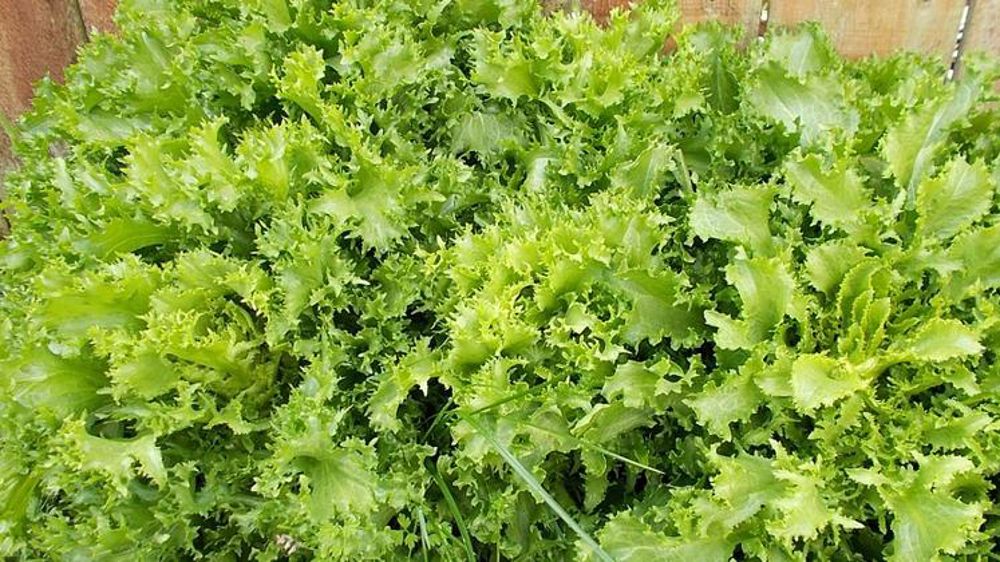 Une production en baisse de 18 %