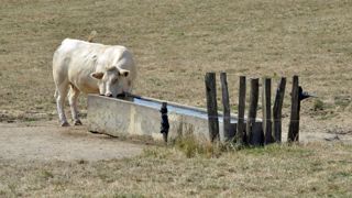 Les chambres d’agriculture demandent des décisions rapides Les chambres d’agriculture demandent des décisions rapides