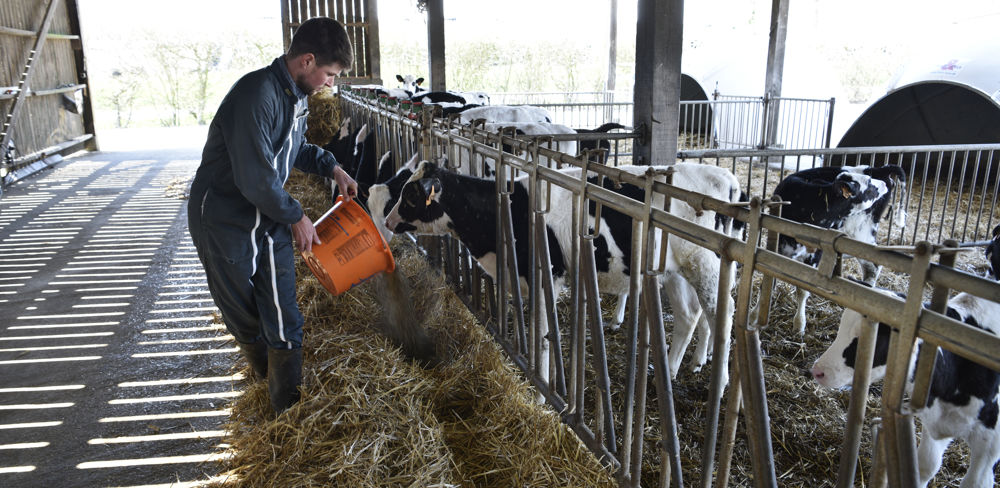 Sanders propose notamment une assurance face à la volatilité des prix des matières premières alimentaires.