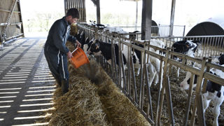 Sanders propose notamment une assurance face à la volatilité des prix des matières premières alimentaires. Sanders propose notamment une assurance face à la volatilité des prix des matières premières alimentaires.