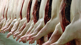 La Chine va puiser 200 000 tonnes de viande porcine dans ses réserves pour éviter que les prix flambent davantage. La Chine va puiser 200 000 tonnes de viande porcine dans ses réserves pour éviter que les prix flambent davantage.
