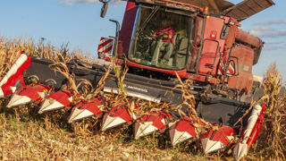 La récolte de maïs grain est en avance de 12 jours sur sa moyenne quinquennale et de 22 jours par rapport à 2021. La récolte de maïs grain est en avance de 12 jours sur sa moyenne quinquennale et de 22 jours par rapport à 2021.
