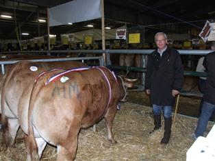 Bovin d'or 2011 de Parthenay