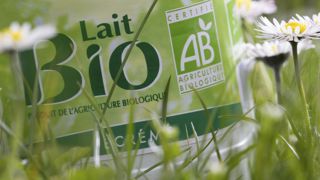 En filière biologique, le lait liquide est de loin le premier produit fabriqué. En filière biologique, le lait liquide est de loin le premier produit fabriqué.