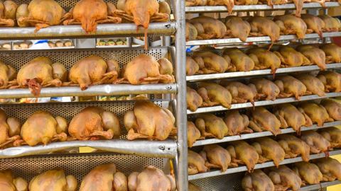Le Sénat confirme l'urgence à limiter les importations de poulets en France. Le Sénat confirme l'urgence à limiter les importations de poulets en France.