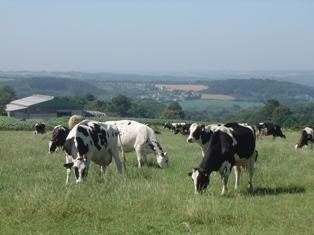 Le modèle agricole dominant a pour ambition principale de fournir des matières premières à l’aval.