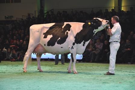 Swiss Expo O'Kalibra