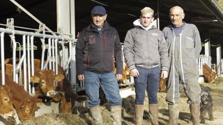 Une bonne autonomie alimentaire pour engraisser des bovins bio Une bonne autonomie alimentaire pour engraisser des bovins bio
