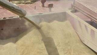 Les exportations ukrainiennes et russes font chuter les prix des céréales en fin de semaine. Les exportations ukrainiennes et russes font chuter les prix des céréales en fin de semaine.