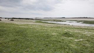 L'association Eau et Rivières de Bretagne (ERB) a déposé un double recours contre l'État pour "inaction face aux pollutions des eaux par les nitrates". L'association Eau et Rivières de Bretagne (ERB) a déposé un double recours contre l'État pour "inaction face aux pollutions des eaux par les nitrates".