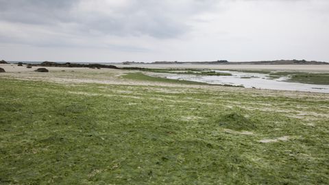 L'association Eau et Rivières de Bretagne (ERB) a déposé un double recours contre l'État pour "inaction face aux pollutions des eaux par les nitrates". L'association Eau et Rivières de Bretagne (ERB) a déposé un double recours contre l'État pour "inaction face aux pollutions des eaux par les nitrates".
