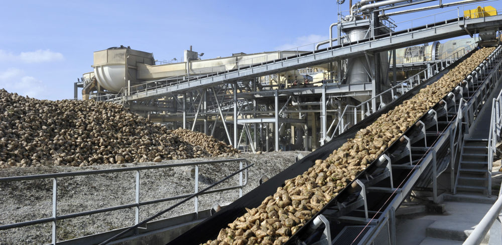 Selon une étude réalisée par un cabinet indépendant pour le compte de Cristal Union, le groupe sucrier a généré 1,6 milliard d'euros de PIB additionnel dans l'économie française en 2020-2021.