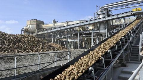 Selon une étude réalisée par un cabinet indépendant pour le compte de Cristal Union, le groupe sucrier a généré 1,6 milliard d'euros de PIB additionnel dans l'économie française en 2020-2021. Selon une étude réalisée par un cabinet indépendant pour le compte de Cristal Union, le groupe sucrier a généré 1,6 milliard d'euros de PIB additionnel dans l'économie française en 2020-2021.
