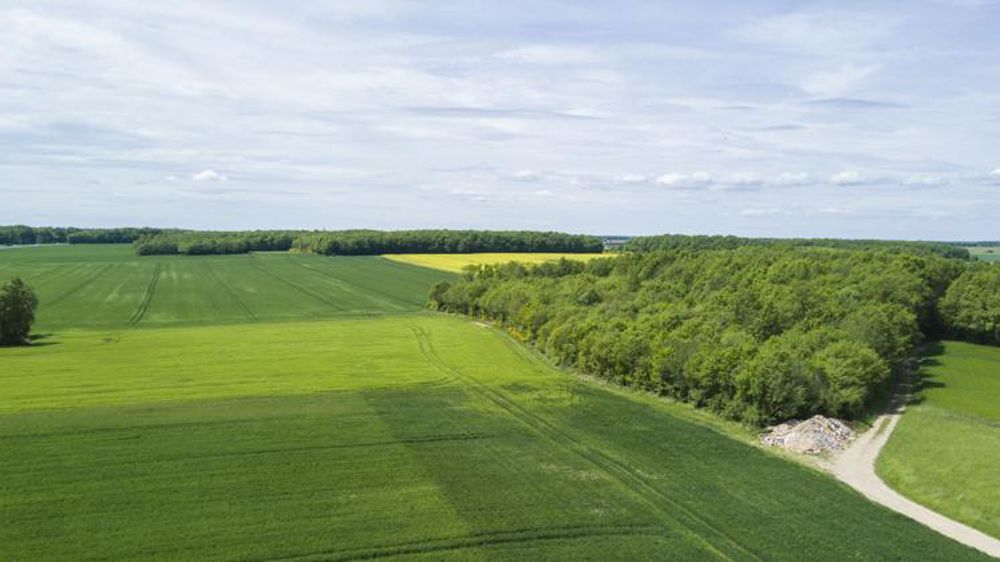 Baisse générale des rendements en 2020