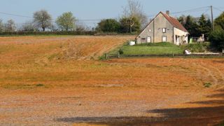 Faut-il créer des comités déontologiques sur le glyphosate ? Faut-il créer des comités déontologiques sur le glyphosate ?