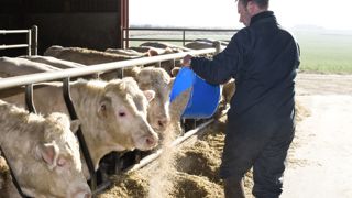 Les installations agricoles continuent de diminuer Les installations agricoles continuent de diminuer