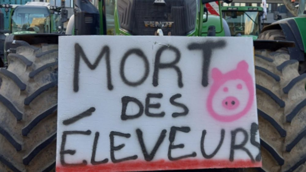 La tension monte chez les éleveurs