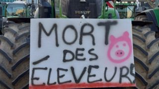 La tension monte chez les éleveurs La tension monte chez les éleveurs