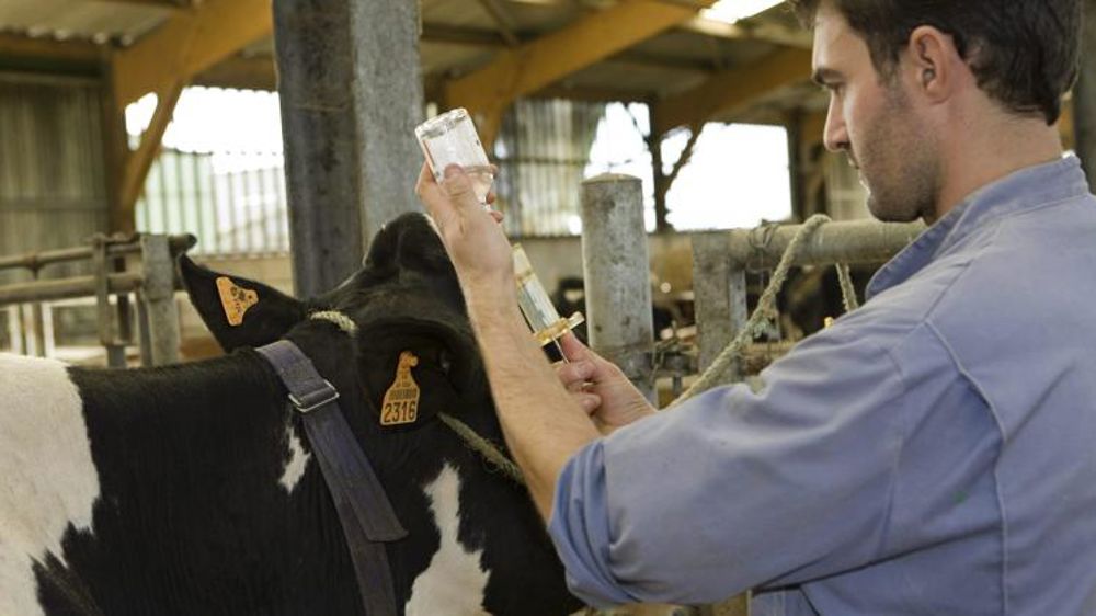 Un appel à candidature pour lutter contre les déserts vétérinaires
