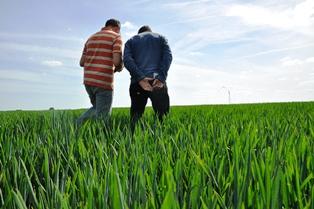 Entente entre associés agricole