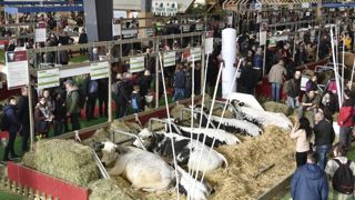 Des retrouvailles très attendues au salon de l’agriculture Des retrouvailles très attendues au salon de l’agriculture
