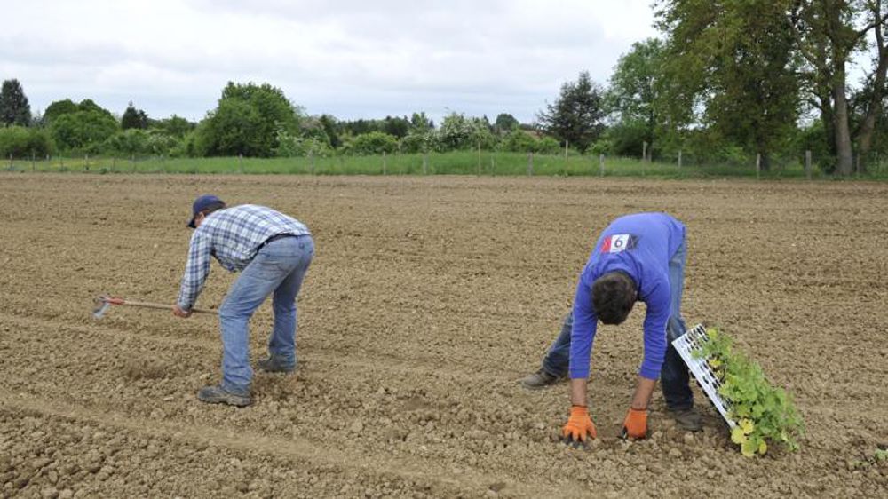 La FNSEA demande la pérennisation du TO-DE