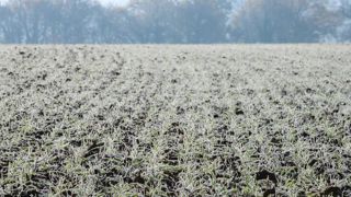 200 millions d’euros de sinistre suite au gel d’avril 2021 200 millions d’euros de sinistre suite au gel d’avril 2021
