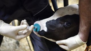 Des taux de conformité en hausse pour les produits animaux Des taux de conformité en hausse pour les produits animaux