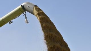 Les prix des céréales et oléagineux grimpent toujours plus Les prix des céréales et oléagineux grimpent toujours plus