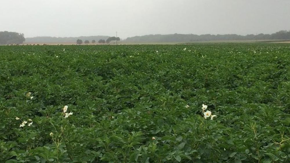 Une charte contre la sous-location de terres agricoles