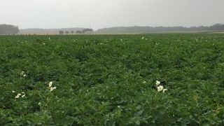 Une charte contre la sous-location de terres agricoles Une charte contre la sous-location de terres agricoles