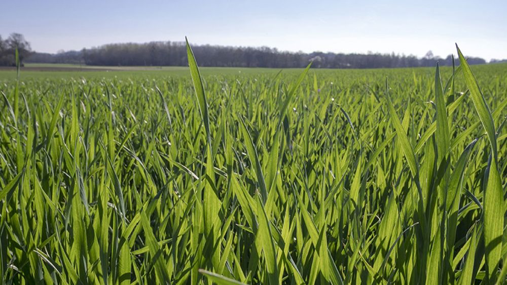 Réussir son T2 avec ELATUS® Era 