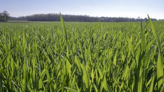 Réussir son T2 avec ELATUS® Era Réussir son T2 avec ELATUS® Era