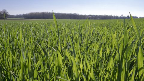 Réussir son T2 avec ELATUS® Era Réussir son T2 avec ELATUS® Era
