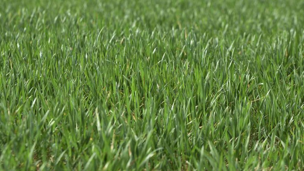 Un « beau début de printemps » pour les cultures en Europe